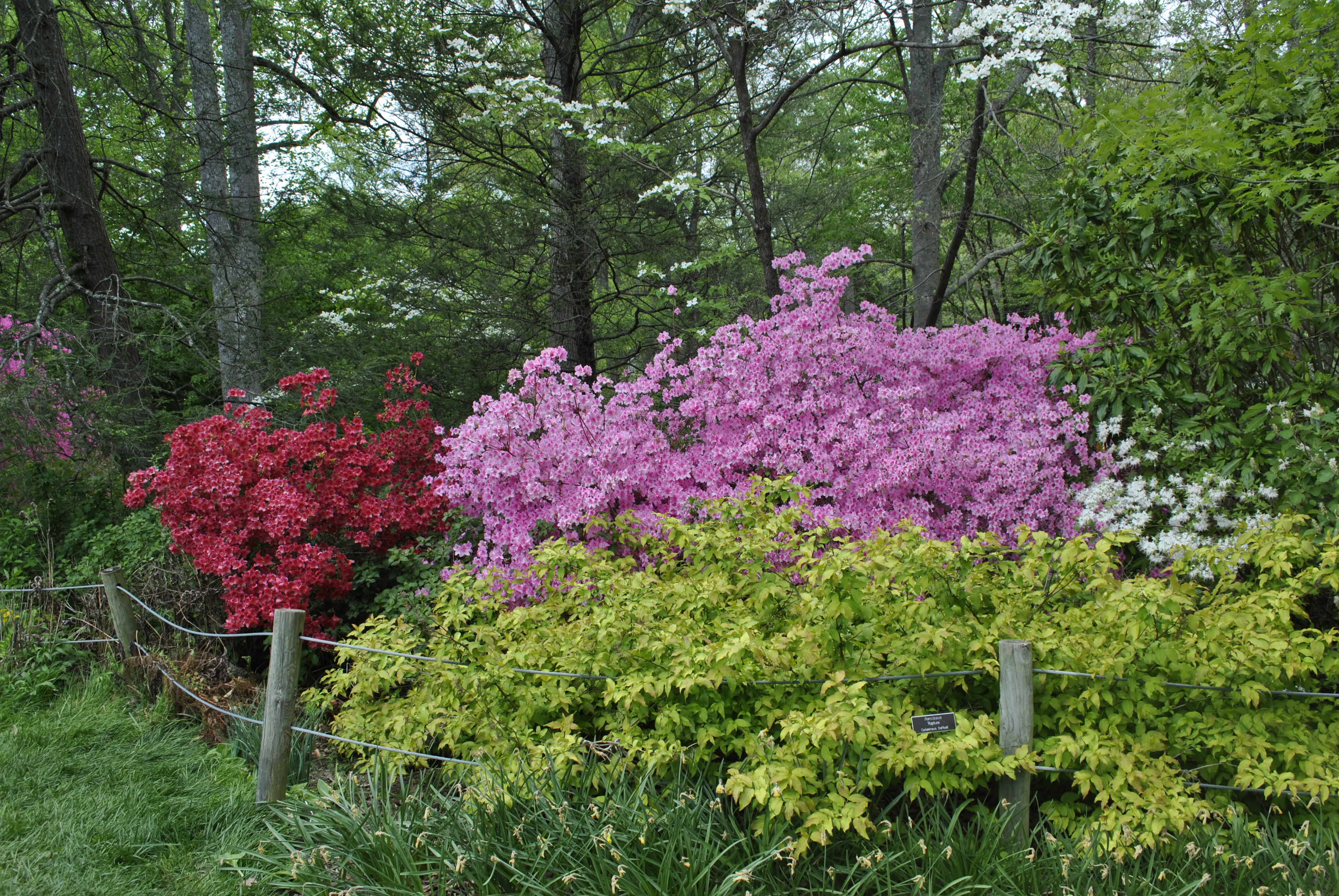 Brookside Gardens